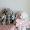 jingyan_jiang